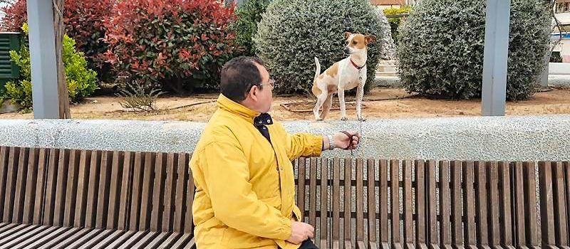 Historia de una mascosta, cuyo extravío pudo costar seis mil euros