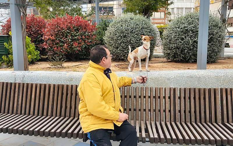 Historia de una mascosta, cuyo extravío pudo costar seis mil euros