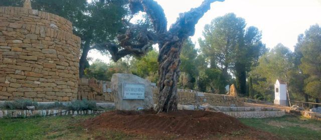 Agricultura planta un magraner centenari a l’ermita de Vinaròs