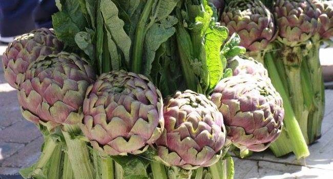 Benicarló viatjarà a Ladispoli per a participar en la 68a Sagra del Carciofo Romanesco