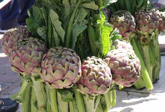 Benicarló viatjarà a Ladispoli per a participar en la 68a Sagra del Carciofo Romanesco
