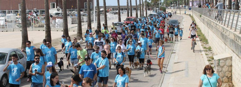 Llega a Benicarló la segunda “Marxa Canina per l’Adopció”