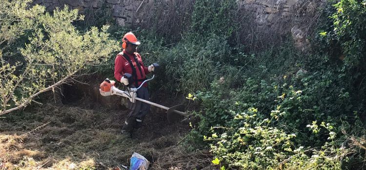 La Jana ha comptat amb la feina d’un taller d’ocupació del SERVEF