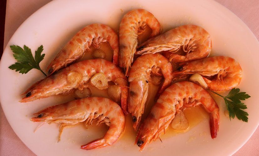 Continúan en Peñíscola las primeras Jornadas Gastronómicas del Mar y de la Huerta