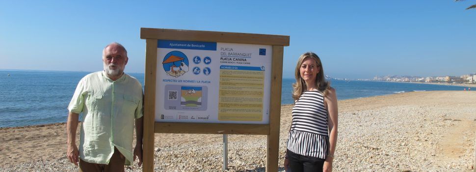 Benicarló habilita el Barranquet i Aiguadoliva com a platges per a gossos
