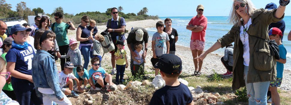 Ampli programa d’activitats a Alcalà-Alcossebre per al mes de juliol