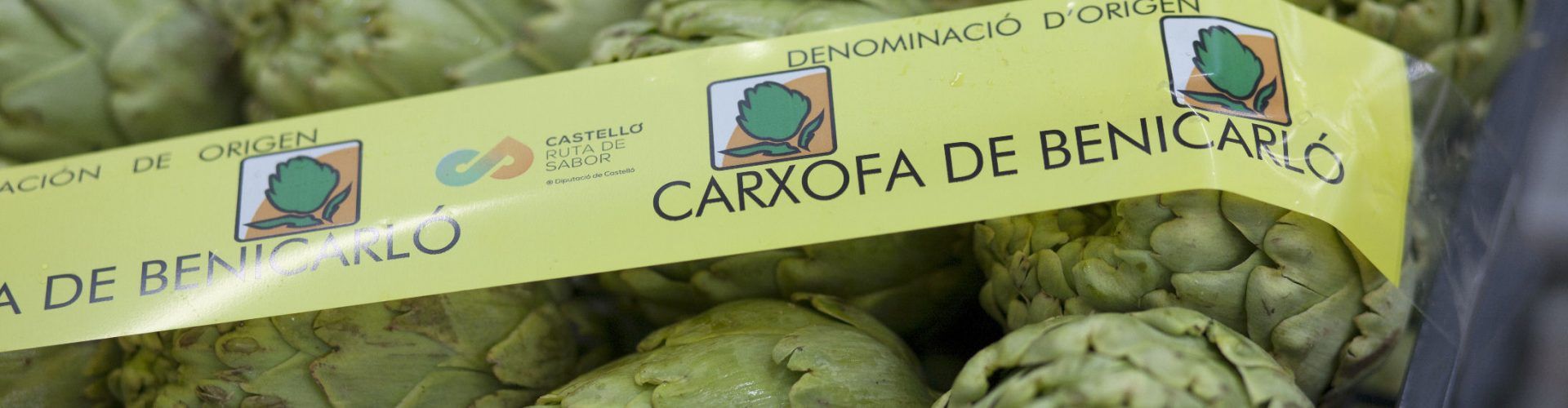 Nuevo récord de etiquetas comercializadas en el Consejo Regulador de la Denominación de Origen Protegida Alcachofa de Benicarló