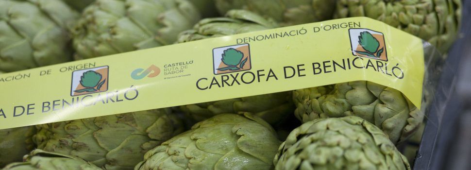 Nuevo récord de etiquetas comercializadas en el Consejo Regulador de la Denominación de Origen Protegida Alcachofa de Benicarló