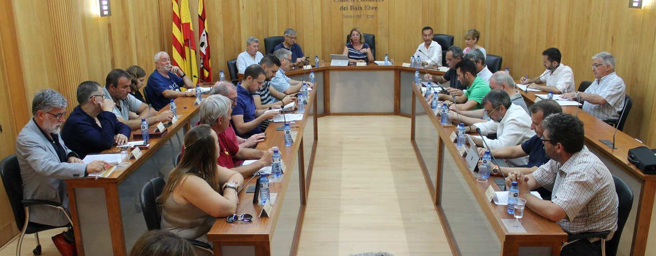 El Consell Comarcal del Baix Ebre assumeix les competències de control de mosquits, mosca negra i altres espècies