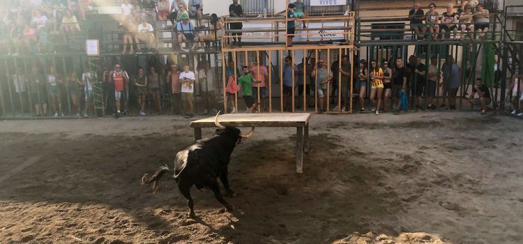 Festes amb bous a Sta. Magdalena