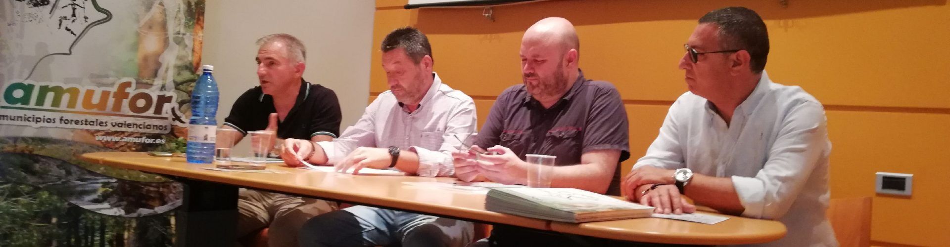 Jornada tècnica sobre l’art rupestre i el bosc