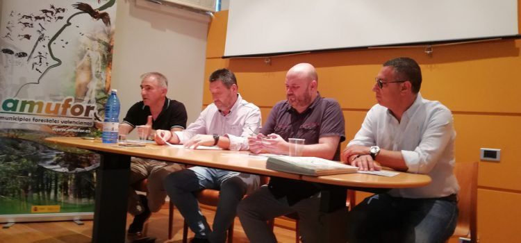 Jornada tècnica sobre l’art rupestre i el bosc