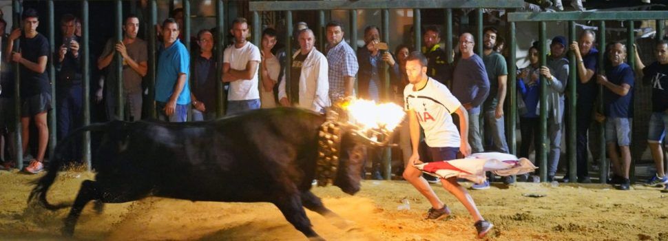 Últim dia de festes a Albocàsser