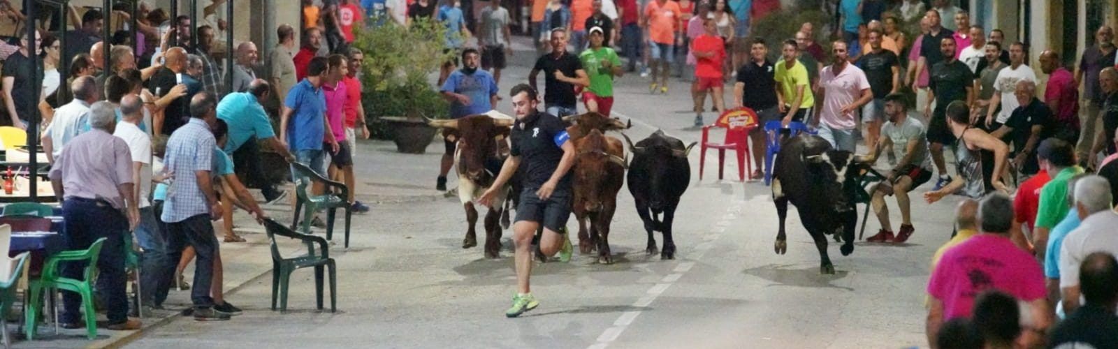 Els bous protagonitzen la jornada festiva d’Albocàsser