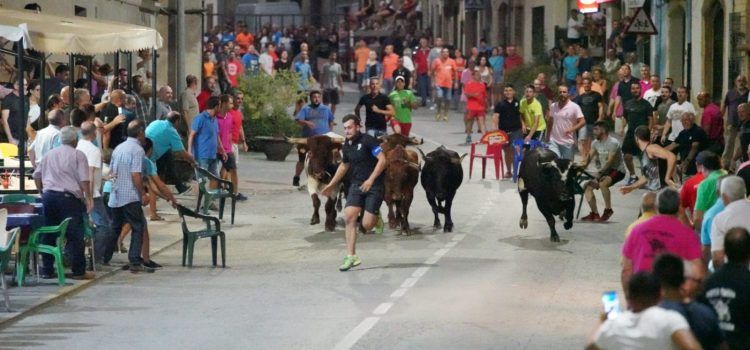 Els bous protagonitzen la jornada festiva d’Albocàsser