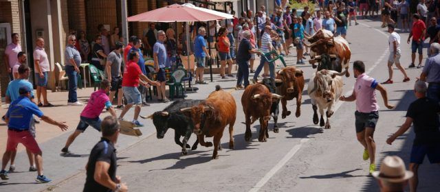 Gran participació en les festes d’Albocàsser