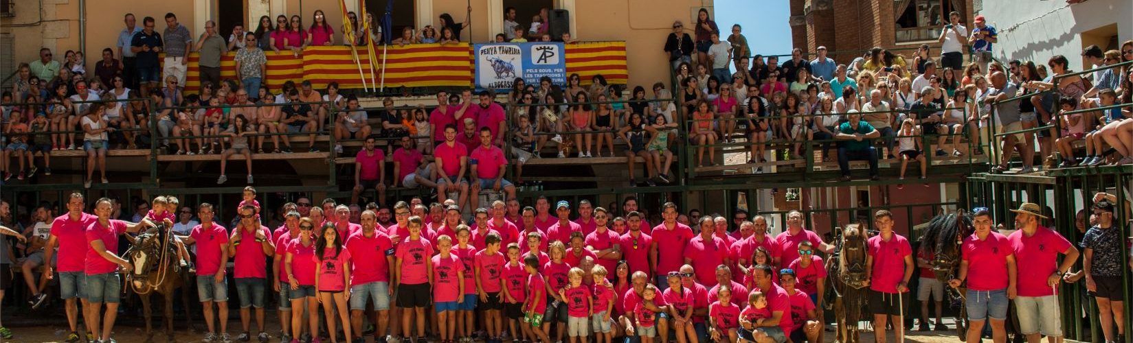 Els bous i la música protagonitzen les festes d’Albocàsser