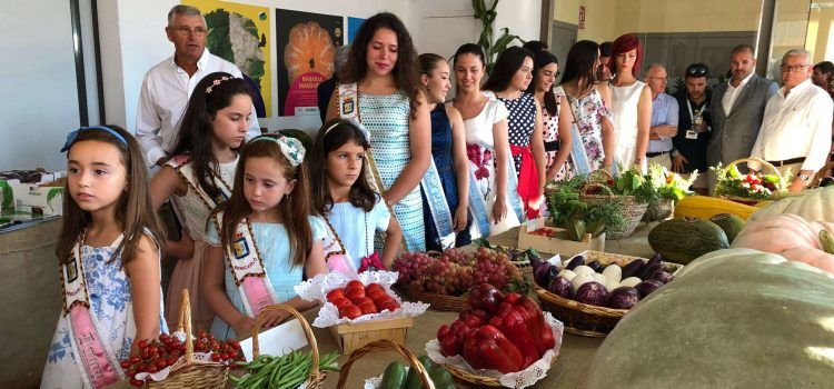 Benicarló expone los productos del campo en la antigua Cámara Agraria