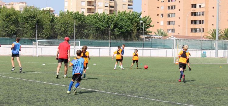 Peñíscola adjudica el césped artificial en el campo de fútbol