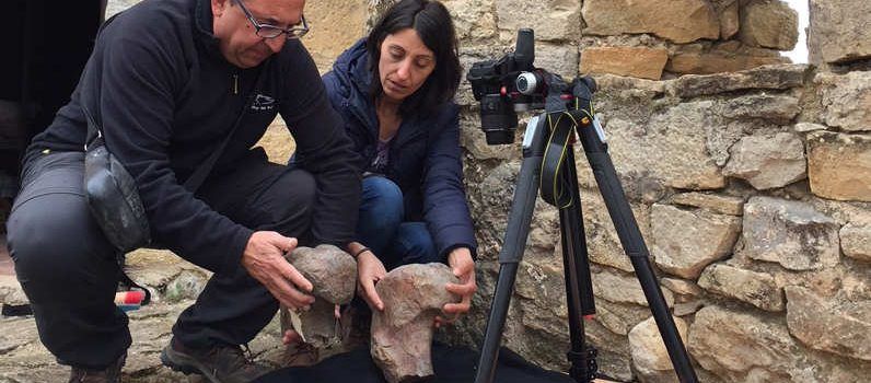 La revista Cretaceous Research publica un treball sobre dinosaures descoberts a Morella