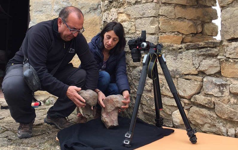 La revista Cretaceous Research publica un treball sobre dinosaures descoberts a Morella