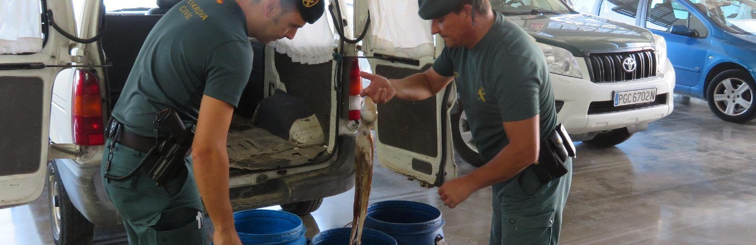 La Guardia Civil interviene a les Cases d’Alcanar más 220 kilos de pulpo