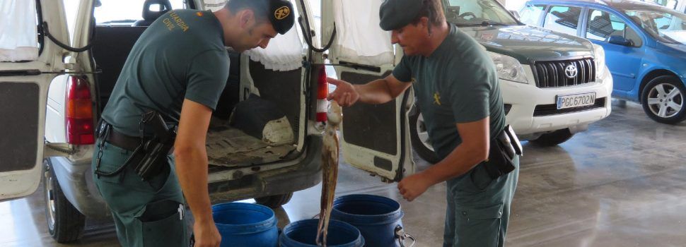 La Guardia Civil interviene a les Cases d’Alcanar más 220 kilos de pulpo