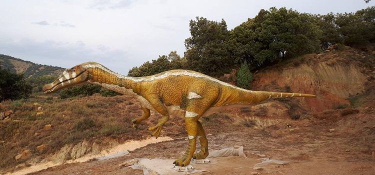 El yacimiento Anna de Cinctorres ya luce “su dinosaurio”: un “barionyx” de seis metros