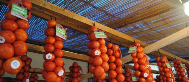 La VI Fira de la Tomata de Penjar d’Alcalà de Xivert potencia el seu atractiu gastronòmic