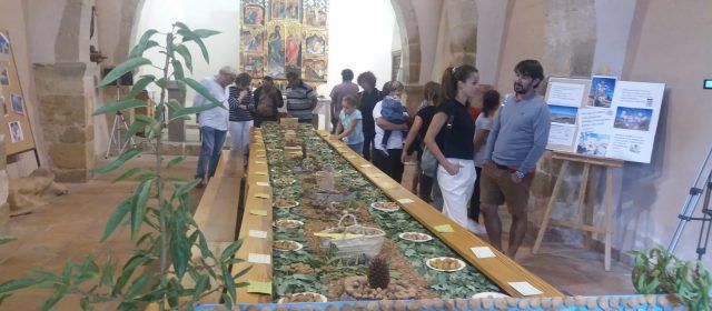La pluja no pot amb l’ametlla a Albocàsser