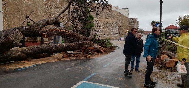 Peñíscola acentúa las medidas de precaución ante la alerta meteorológic