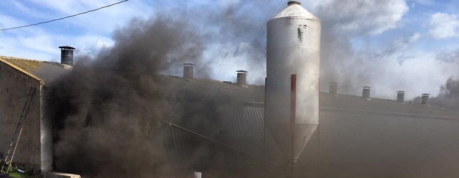 Fallecen por un incendio 24.000 pollos en una granja de Vinaròs