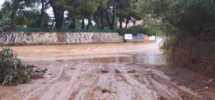 Navarrete diu que “les fortes pluges ens recorden que la problemàtica de la Rambla d’Alcalà segueix sense solucionar-se”