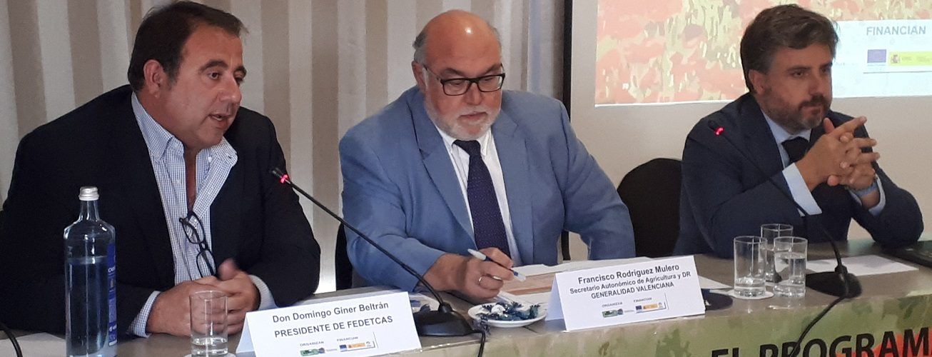 Giner reivindica la importància dels Grup d’Acció Local i demana més competències
