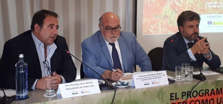 Giner reivindica la importància dels Grup d’Acció Local i demana més competències