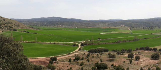 Liciten l’obra del camí de rural de la Vega del Moll de Morella