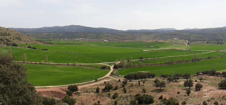 Liciten l’obra del camí de rural de la Vega del Moll de Morella