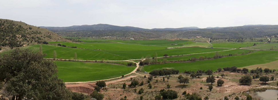 Liciten l’obra del camí de rural de la Vega del Moll de Morella