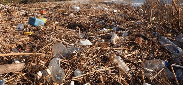 Apnal-Ecologistas en Acción: “Un litoral lleno de residuos”