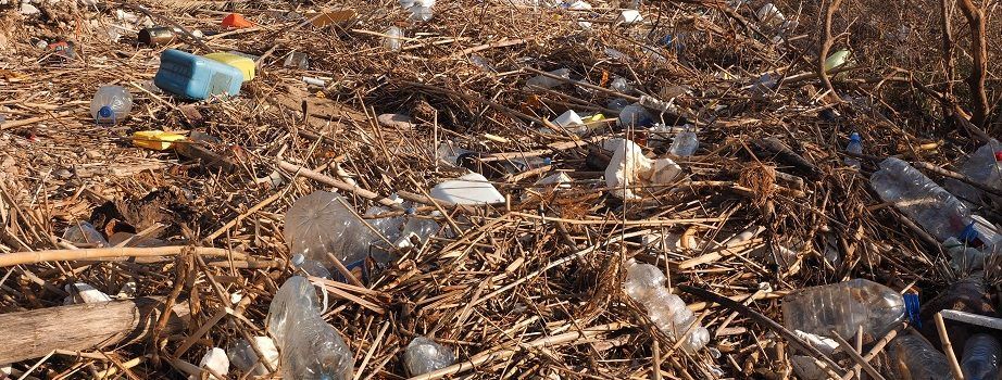 Apnal-Ecologistas en Acción: “Un litoral lleno de residuos”