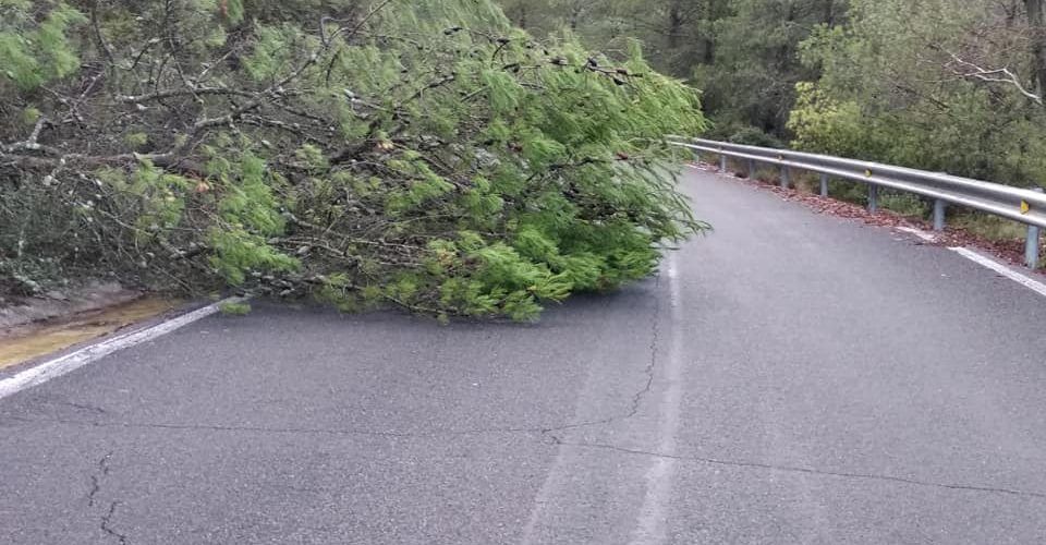 El PSPV-PSOE exige un plan de carreteras a Moliner para evitar las situaciones de peligro