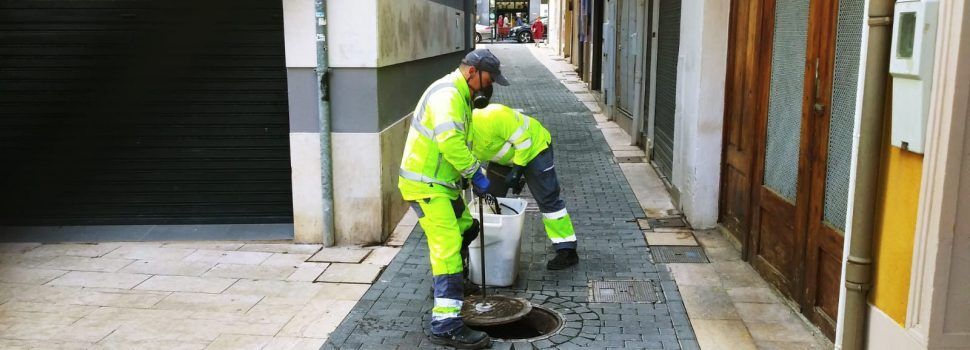 Campanya de desratització, desinsectació i desinfecció a Vinaròs
