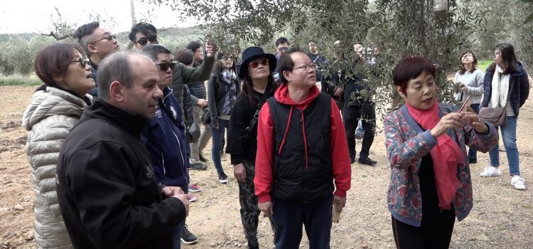 La Xina s’interessa pels recursos turístics de Traiguera