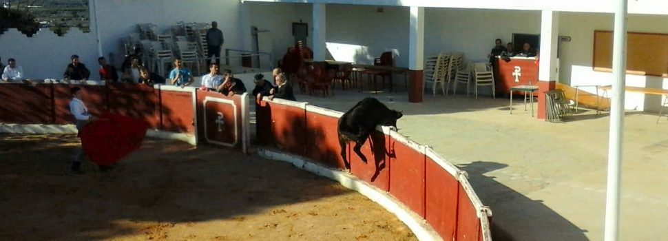 Festa al “tentadero” de la Penya Pan y Toros de Vinaròs