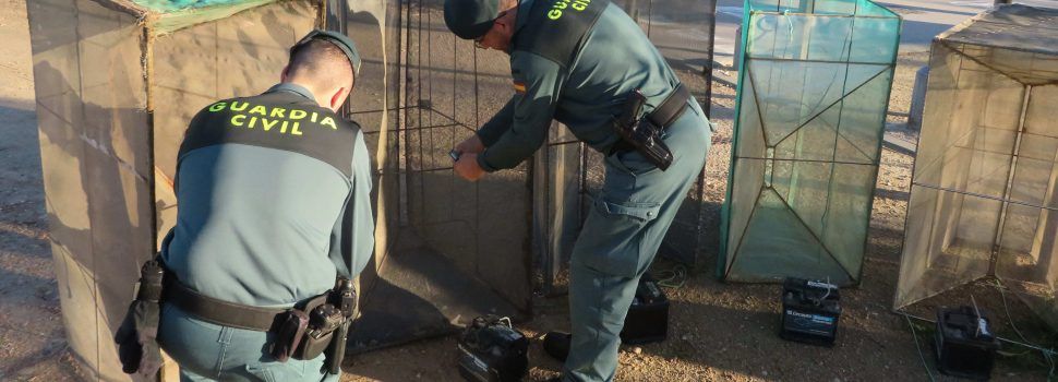 La Guardia Civil decomisa cinco “bussons” para la captura de la angula, en la desembocadura de l’Ebre