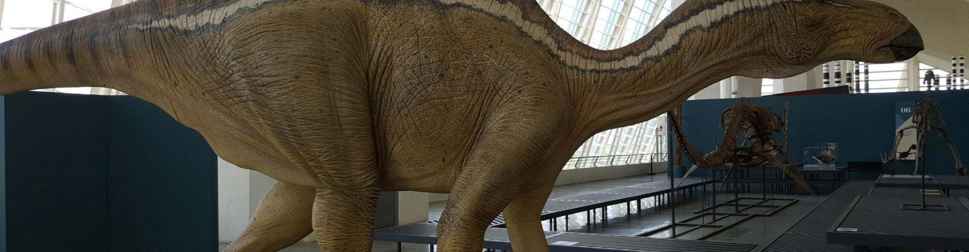 Morella recuperará restos de dinosaurios y la maqueta del Morelladon –  Vinaròs News