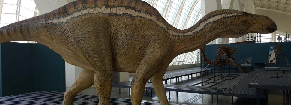 Morella recuperará restos de dinosaurios y la maqueta del Morelladon