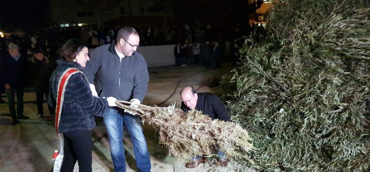 Vespra de Sant Antoni a Vinaròs: Les Camaraes i foguerada