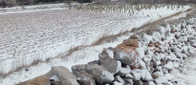 Primera nevada del 2019 a Vilafranca