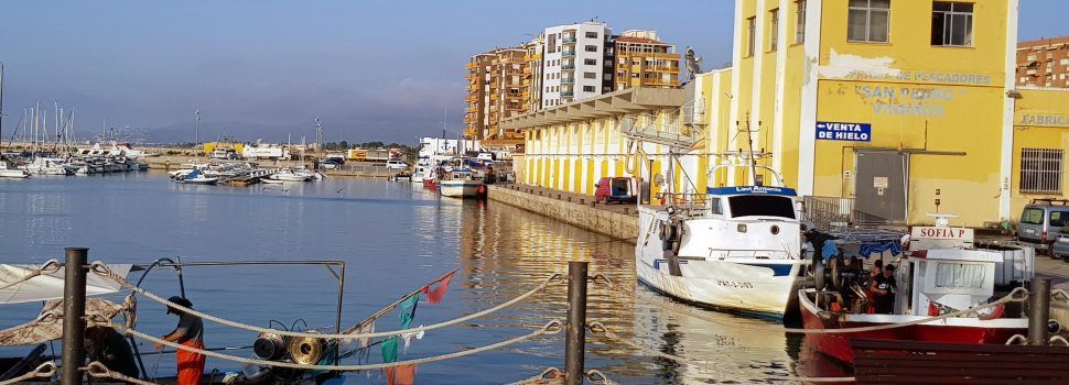 Javier Borrás deja la presidencia de la cofradía de Vinaròs mientras el puerto se queda con solo 8 barcas de arrastre